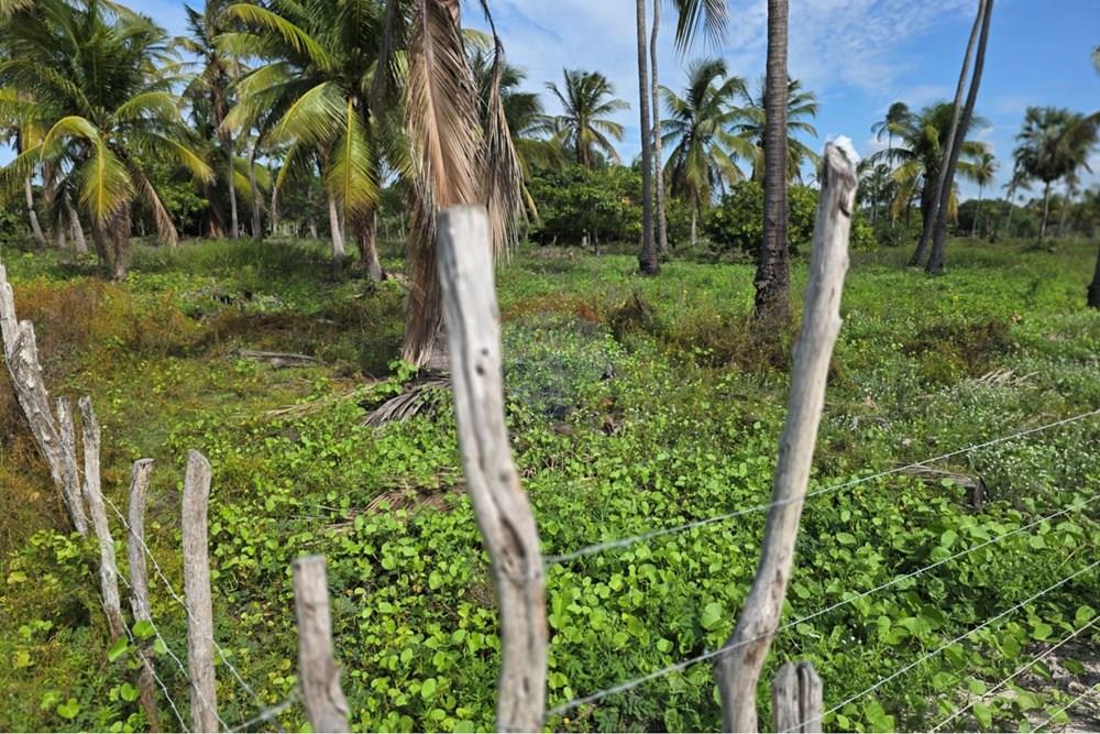 Terreno - Venda - Acaraú , Ceará - 1000542804.jpg - 722341001-188