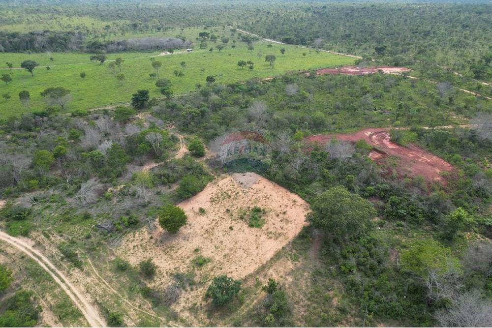 Fazenda - Venda - Araguaína , Tocantins - WhatsApp Image 2025-12-13 at 19.32.31 (5).jpeg - 720991010-81