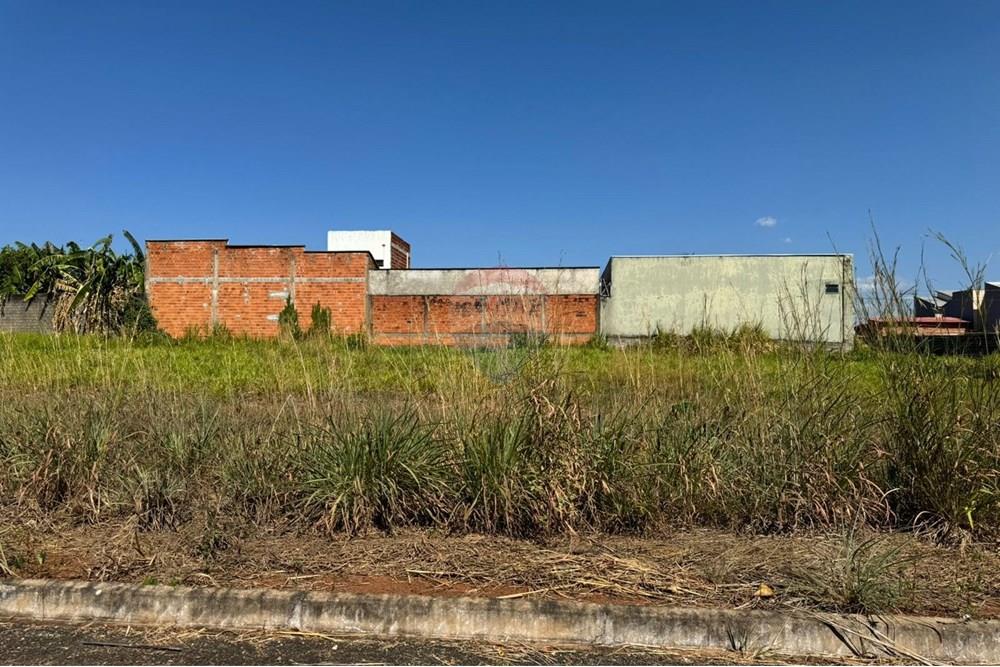 Terreno - Venda - Araguaína , Tocantins - WhatsApp Image 2024-08-22 at 17.40.39 (4).jpeg - 720991002-163