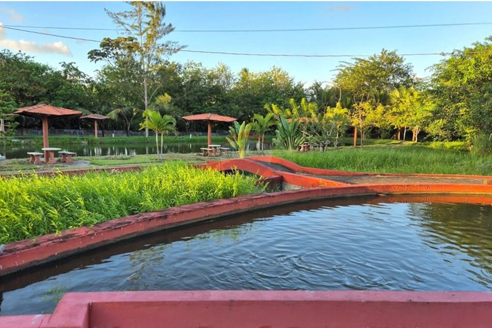 Chácara / Sítio / Fazenda - Venda - Alhandra , Paraíba - 20250724_164152.jpg - 722011055-42