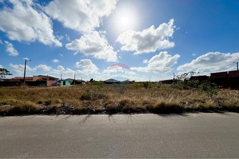 Terreno - Venda - São José de Mipibu , Rio Grande do Norte - e7160d3e-a8a0-4ad2-a9b2-2def14d71f5d.jpg - 720811011-106