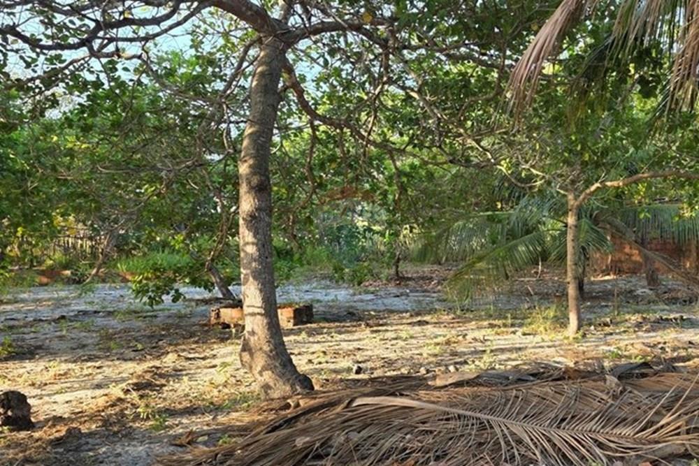 Terreno - Venda - Cruz , Ceará - 1000385822.jpg - 722341001-122
