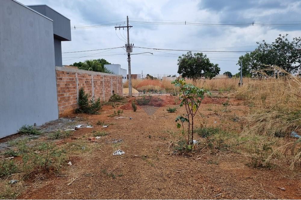 Terreno - Venda - Confresa , Mato Grosso - WhatsApp Image 2025-09-24 at 17.38.34 (2).jpeg - 720641046-8