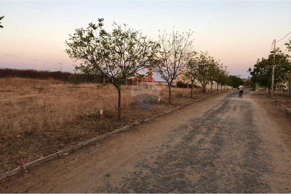 Terreno - Venda - Iguatu , Ceará - IMG-20250731-WA0072.jpg - 720931002-363