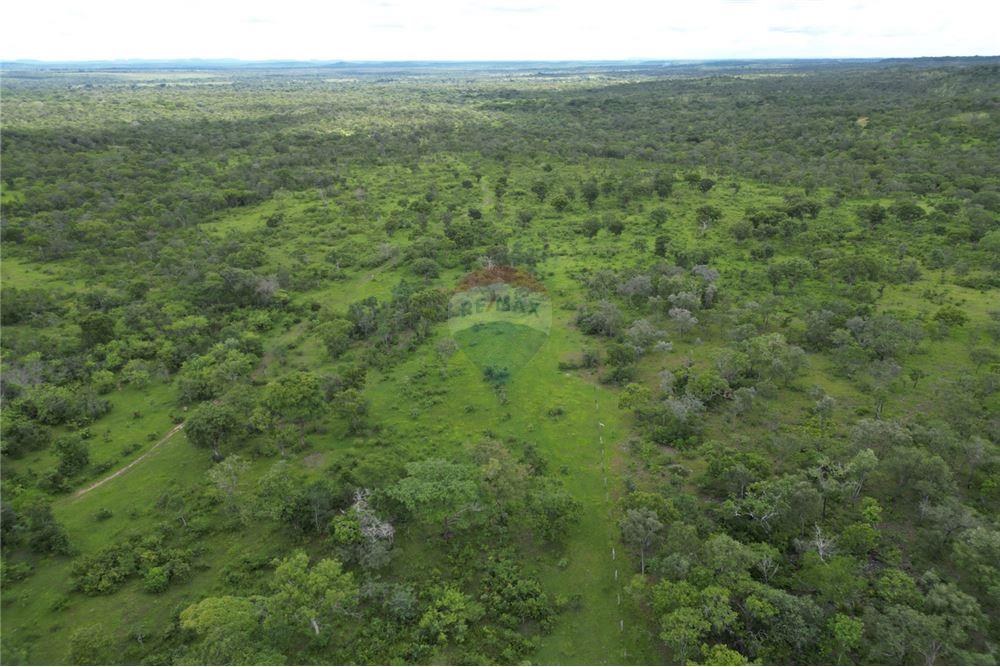 Fazenda - Venda - Carolina , Maranhão - 6 - 720991010-69