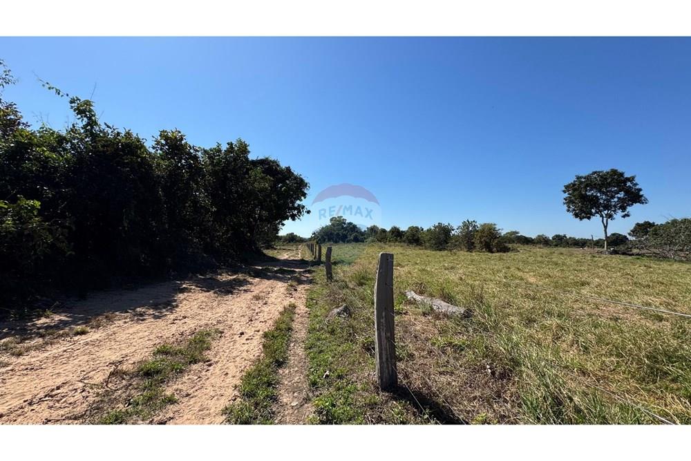 Fazenda - Venda - Santo Antônio do Leverger , Mato Grosso - c62d2fb4-f232-4846-8651-39f043239807.jpeg - 720611035-41