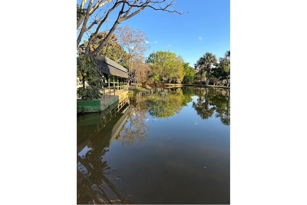 Terreno - Venda - Caldas Novas , Goiás - IMG_7408.jpg - 722251002-39