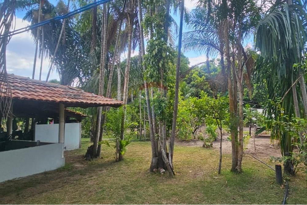 Chácara / Sítio / Fazenda - Venda - Araguaína , Tocantins - WhatsApp Image 2025-08-07 at 15.19.05 (2).jpeg - 722171030-16