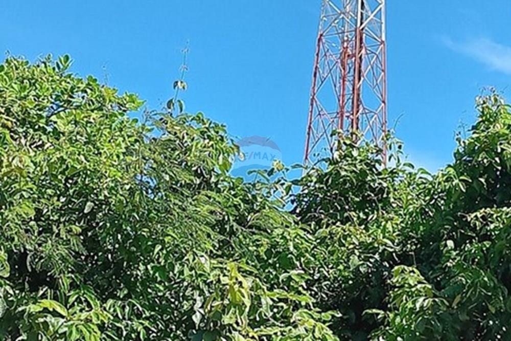 Terreno - Venda - Parnamirim , Rio Grande do Norte - WhatsApp Image 2026-03-24 at 11.35.52.jpeg - 720891130-389