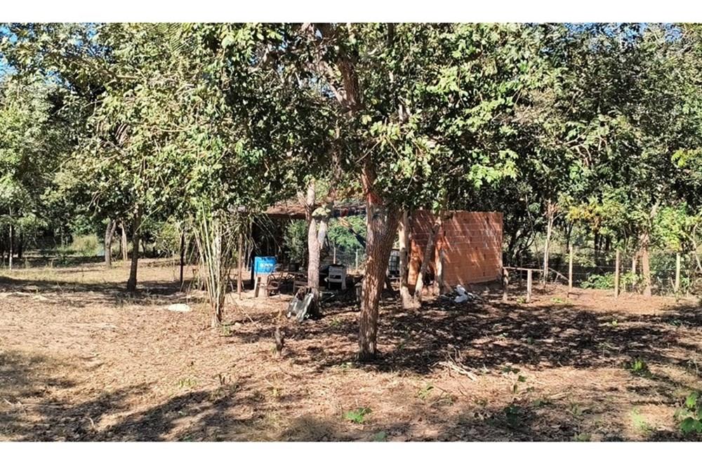 Terreno - Venda - Rondonópolis , Mato Grosso - Imagem do WhatsApp de 2025-08-21 à(s) 13.38.54_42c42e37.jpg - 722261012-23