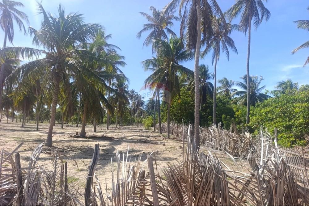 Terreno - Venda - Trairi , Ceará - WhatsApp Image 2026-01-28 at 14.05.41 (1).jpeg - 722341005-47