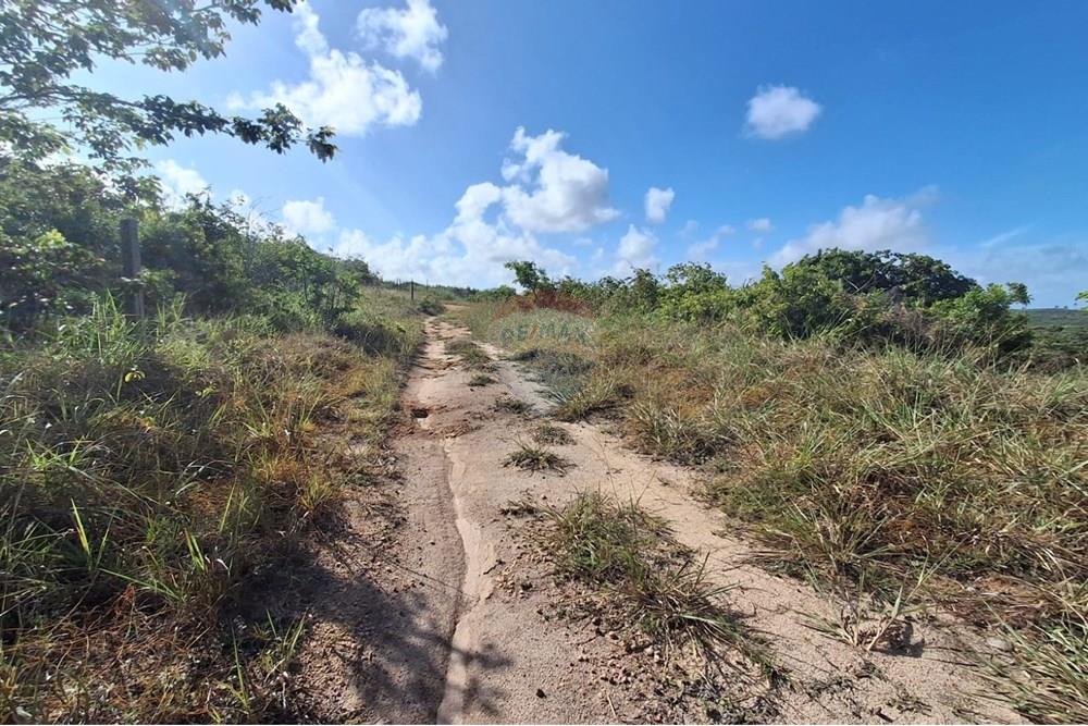 Terreno - Venda - Pitimbu , Paraíba - 8a56641f-d63c-4abb-8397-90c31101f2fc.jpg - 720871044-61