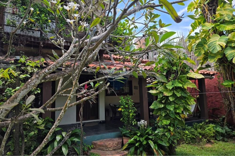 Casa Comercial - Venda - Jijoca de Jericoacoara , Ceará - 1000593224.jpg - 722341001-162