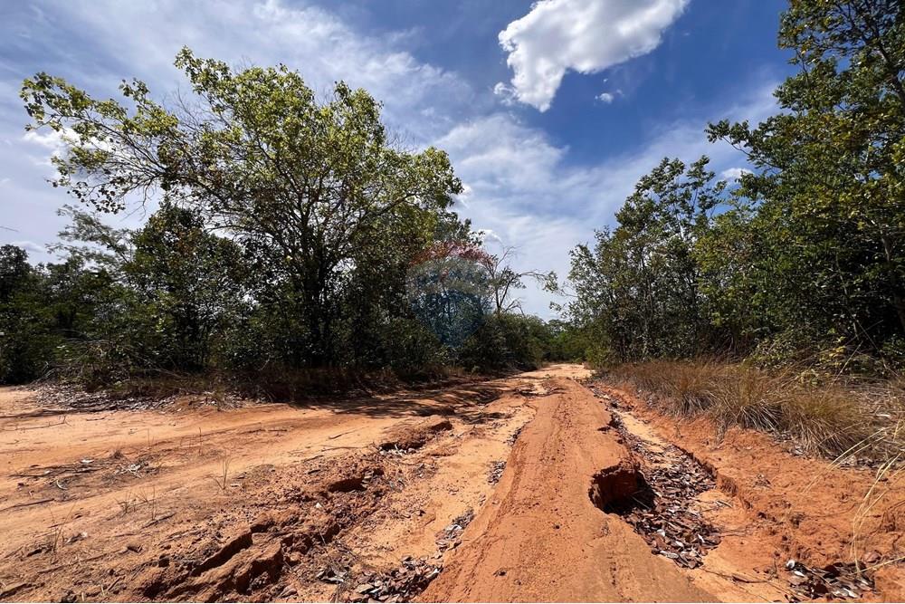 Agro - Venda - Carolina , Maranhão - WhatsApp Image 2025-08-07 at 12.38.45.jpeg - 720991010-76