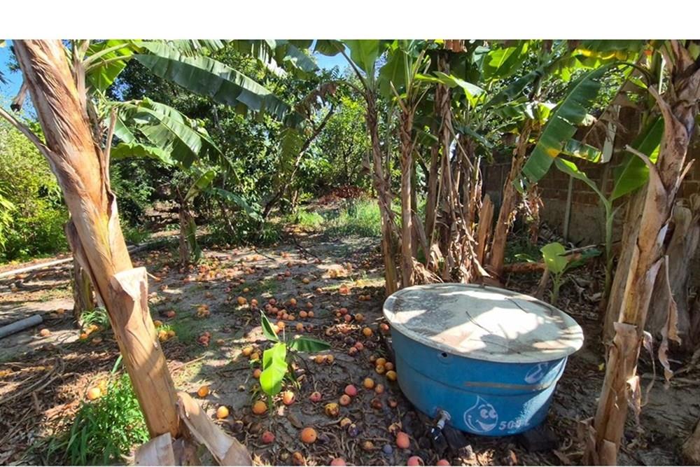 Terreno - Venda - Parnamirim , Rio Grande do Norte - WhatsApp Image 2026-03-02 at 10.05.12 (2).jpeg - 720811040-40