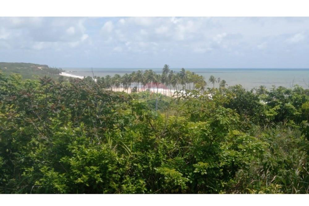 Terreno - Venda - Pitimbu , Paraíba - WhatsApp Image 2025-05-14 at 14.34.12 (5).jpeg - 720871031-80