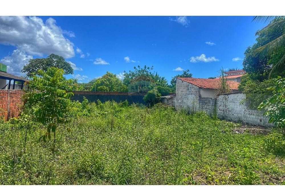 Terreno - Venda - Conde , Paraíba - WhatsApp Image 2025-04-23 at 09.53.56 (1).jpeg - 720871004-192