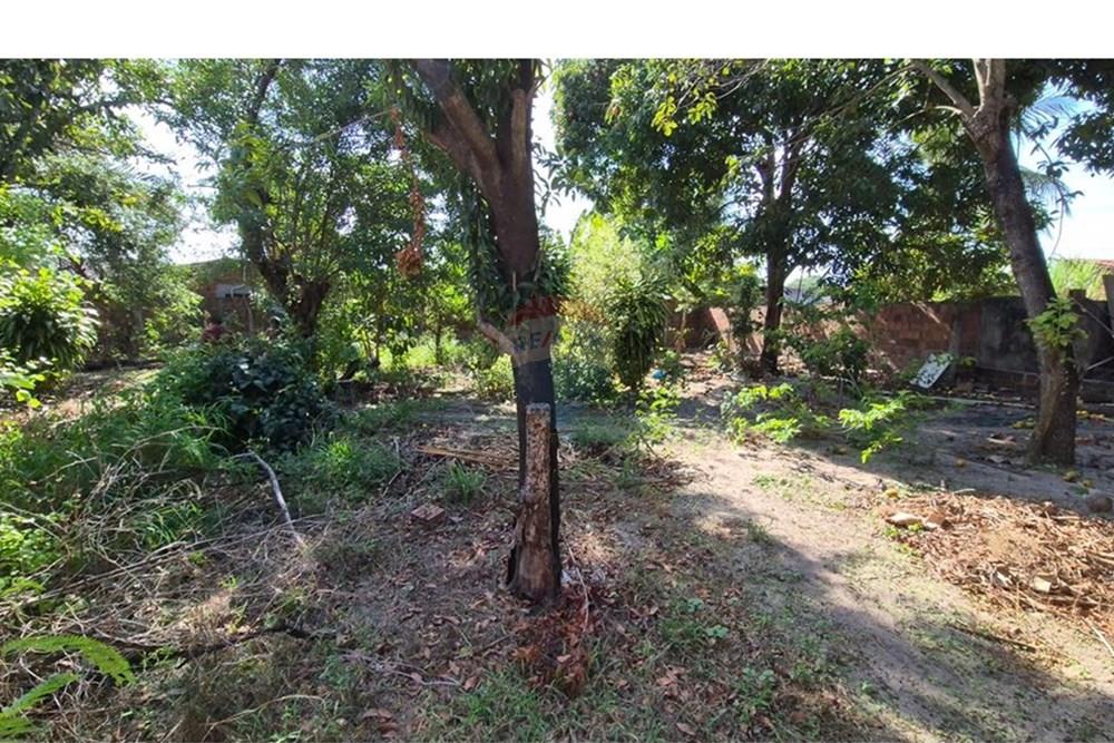 Terreno - Venda - Parnamirim , Rio Grande do Norte - WhatsApp Image 2026-03-02 at 10.05.17 (3).jpeg - 720811040-40