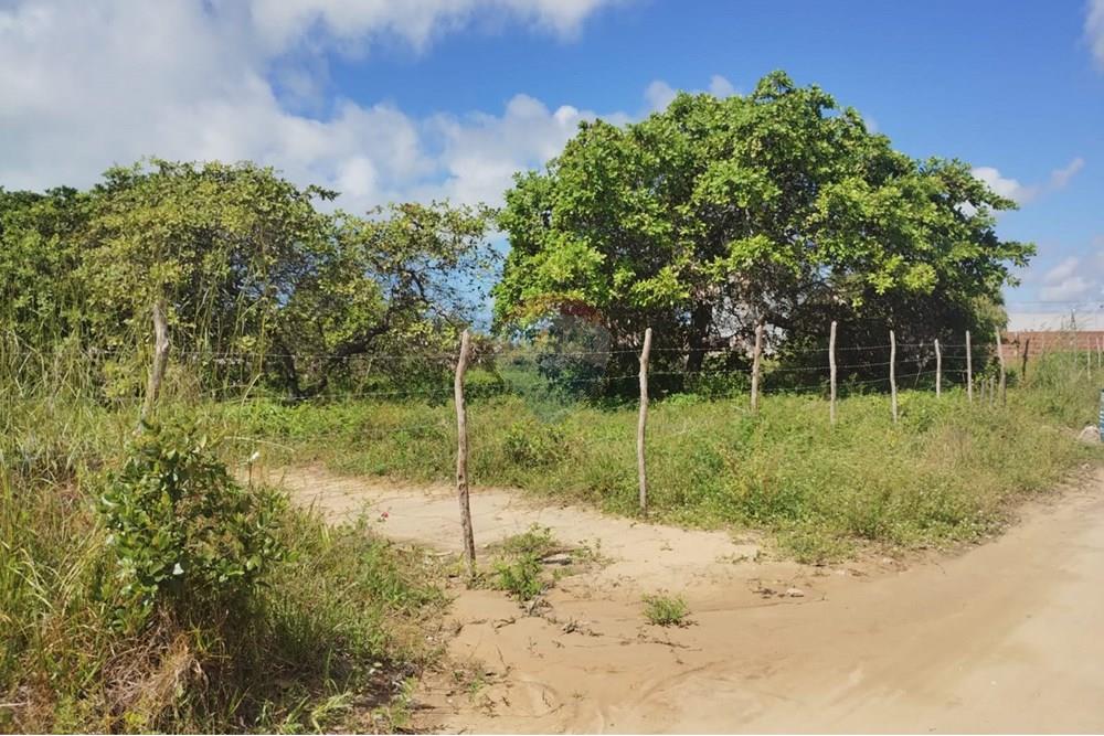 Terreno - Venda - Conde , Paraíba - TERRENO NARLON.jpg - 720871056-7