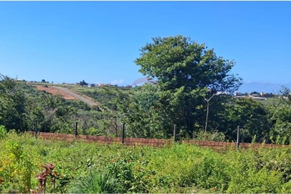 Terreno - Venda - Pitimbu , Paraíba - d71a6eab-4a1d-4c48-b687-a6f83b08da77 - Copia.jpeg - 720871044-85