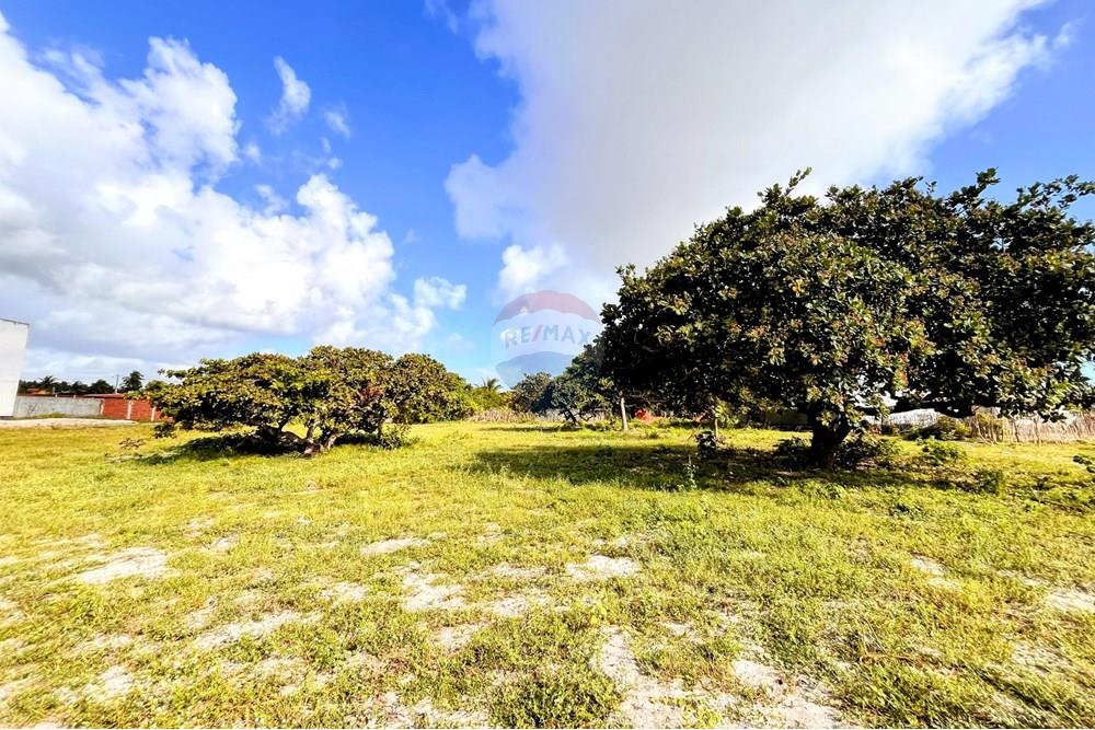 Terreno - Venda - São Miguel do Gostoso , Rio Grande do Norte - WhatsApp Image 2025-06-28 at 14.34.32 (3).jpeg - 720891233-33