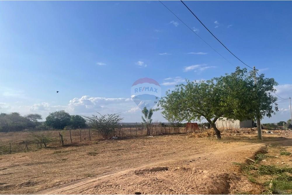 Terreno - Venda - Iguatu , Ceará - WhatsApp Image 2025-12-20 at 11.30.35.jpeg - 720931002-384