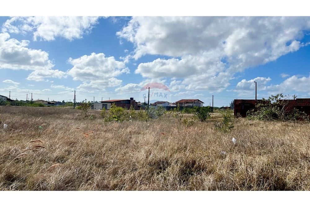 Terreno - Venda - São José de Mipibu , Rio Grande do Norte - b436350d-3375-42c2-bc16-db3a4fd80592.jpg - 720811011-106