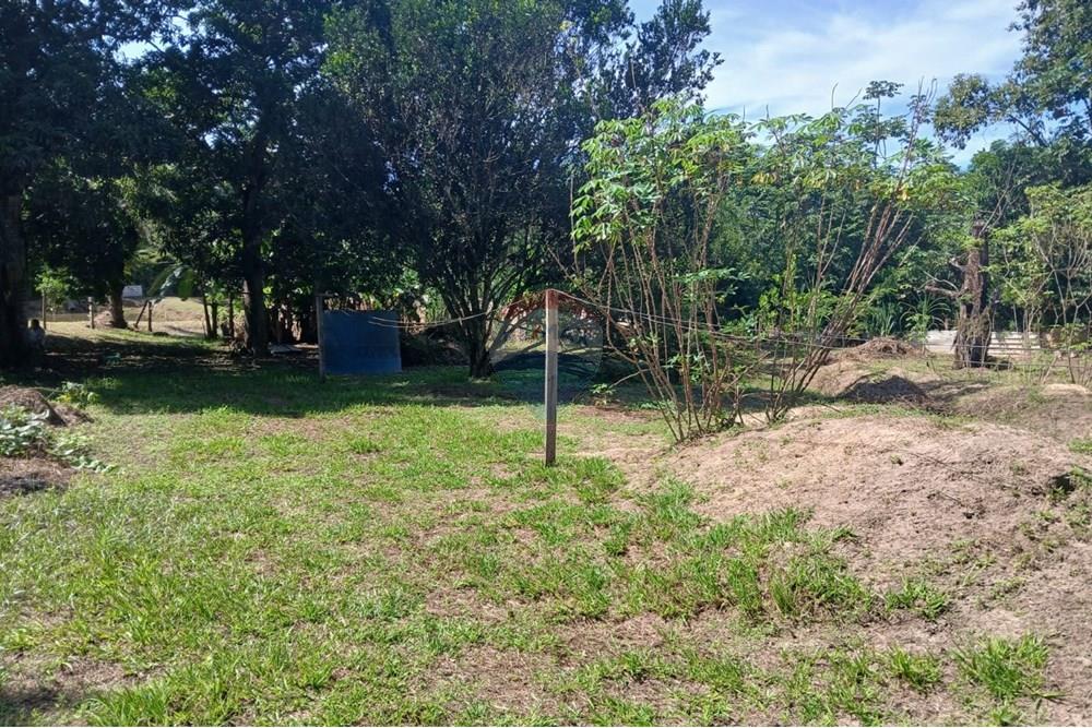 Chácara / Sítio / Fazenda - Venda - Rondonópolis , Mato Grosso - WhatsApp Image 2025-05-12 at 16.32.18 (14).jpeg - 720611007-91