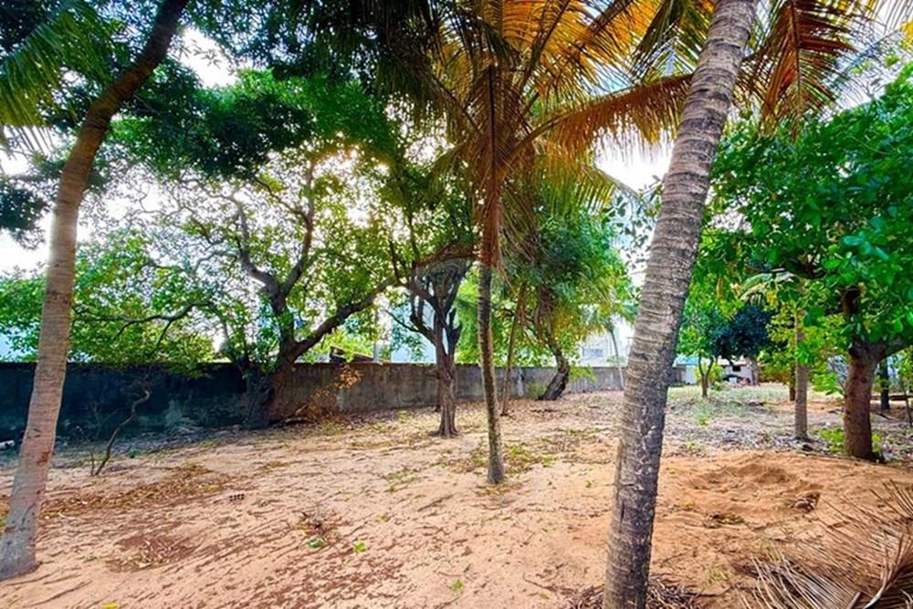 Terreno - Venda - Natal , Rio Grande do Norte - WhatsApp Image 2025-12-04 at 15.27.33 (7).jpeg - 720731001-2488