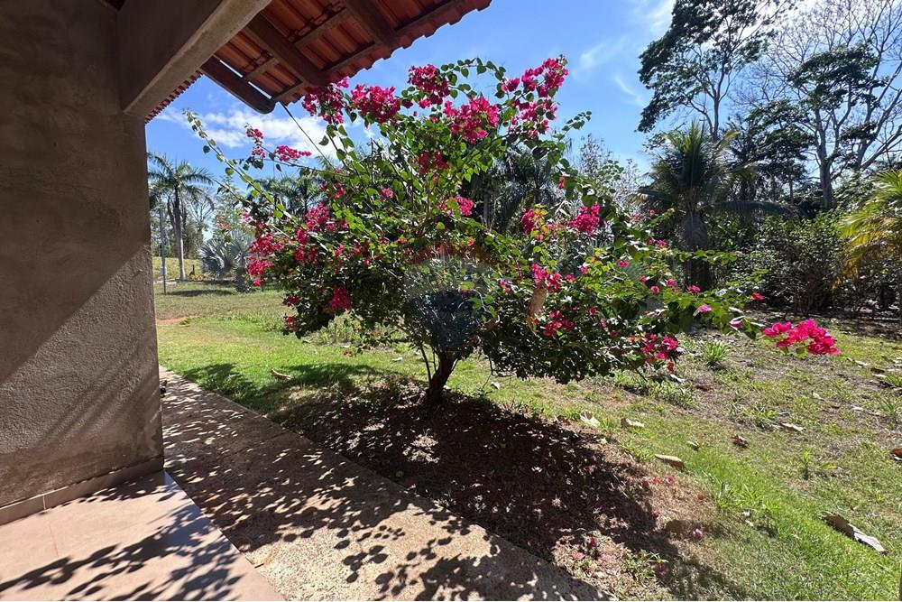 Chácara / Sítio / Fazenda - Venda - Jaru , Rondônia - WhatsApp Image 2025-08-09 at 10.56.36 (1).jpeg - 721551072-16