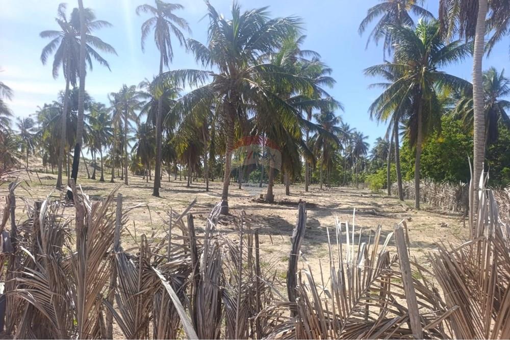 Terreno - Venda - Trairi , Ceará - WhatsApp Image 2026-01-28 at 14.05.41.jpeg - 722341005-47