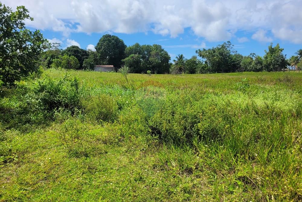 Terreno - Venda - Goiana , Pernambuco - 20220727_105742.jpg - 722011055-50