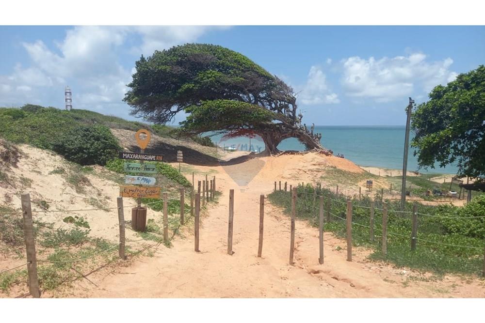 Terreno - Venda - Maxaranguape , Rio Grande do Norte - WhatsApp Image 2026-02-24 at 14.18.55 (1).jpeg - 720891228-28