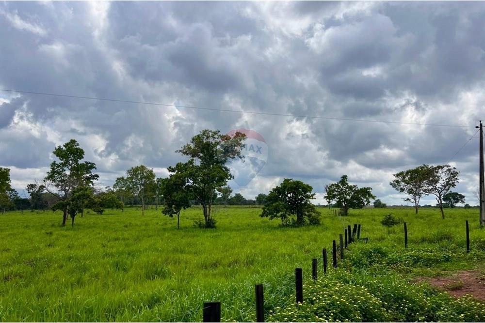 Fazenda - Venda - Araguaína , Tocantins - WhatsApp Image 2025-12-13 at 19.34.40.jpeg - 720991010-81