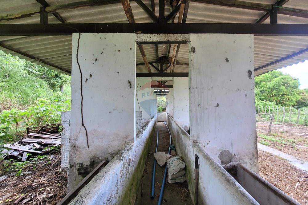 Chácara / Sítio / Fazenda - Venda - Conde , Paraíba - 20260207_110419.jpg - 722011055-53