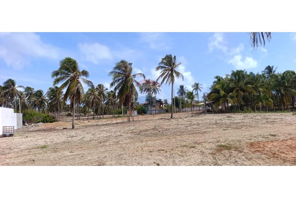 Terreno - Venda - Trairi , Ceará - WhatsApp Image 2026-01-15 at 10.37.14 (3).jpeg - 722341005-40