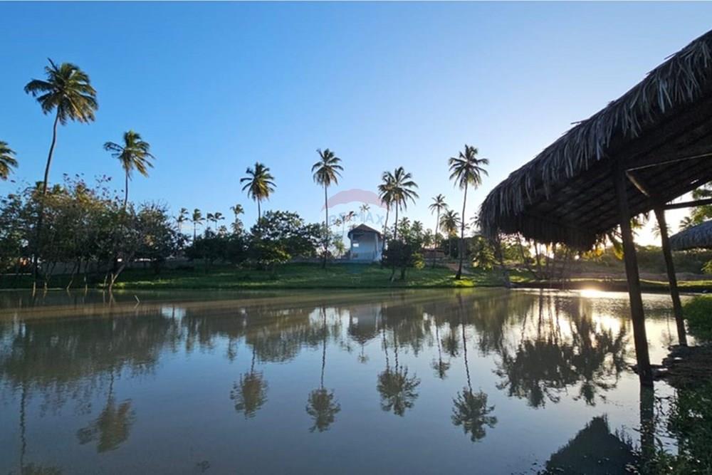 Terreno - Venda - Trairi , Ceará - 1000290829.jpg - 722341005-30