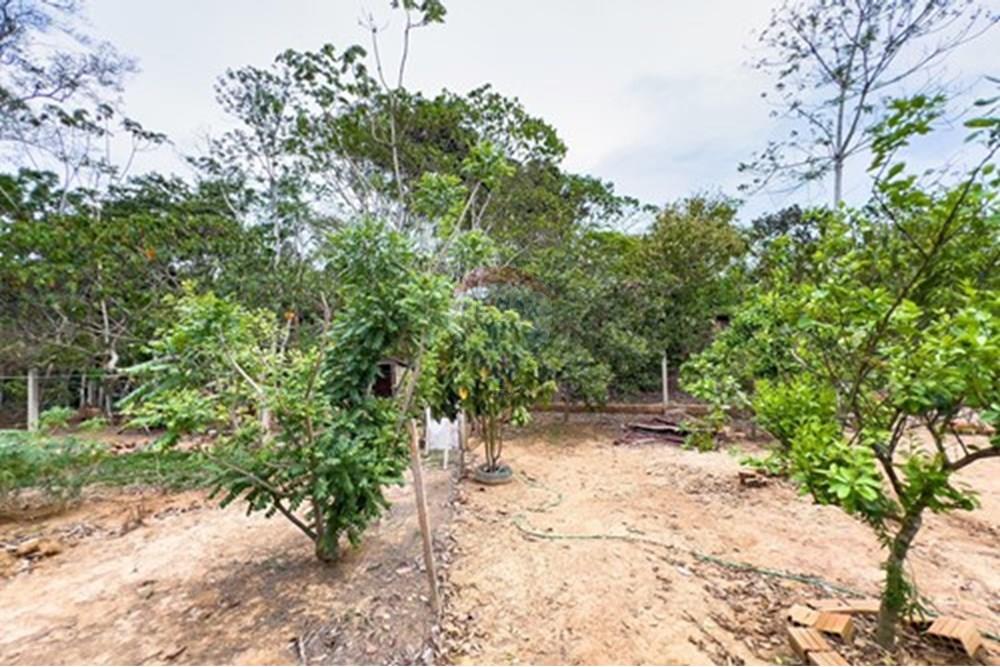 Chácara / Sítio / Fazenda - Venda - Porto Velho , Rondônia - L_335ffa50-b41e-4dc9-a938-2e80dd3c436d.jpg - 721551004-302