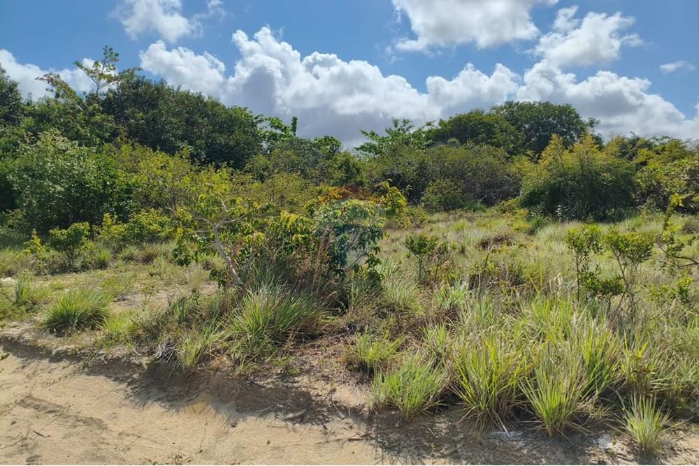 Residential - Κτήμα - Conde , Paraíba - BR - CARAPIBUS 1.jpg - 720871056-27