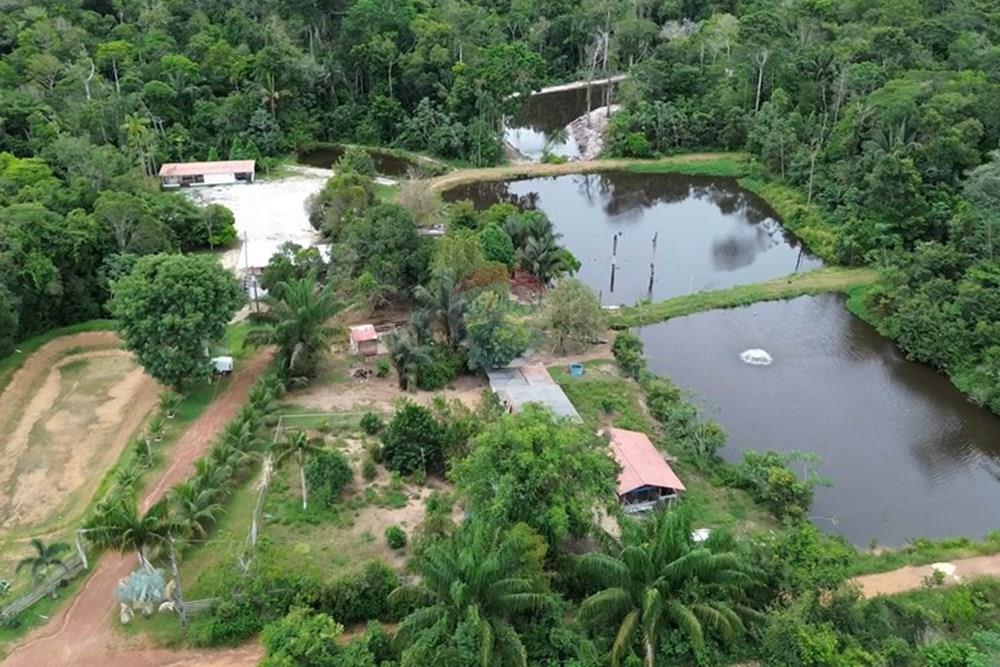 Woningbouw - Boerderij - Novo Airão , Amazonas - BR - Tanques de Peixes11.jpg - 720721055-29