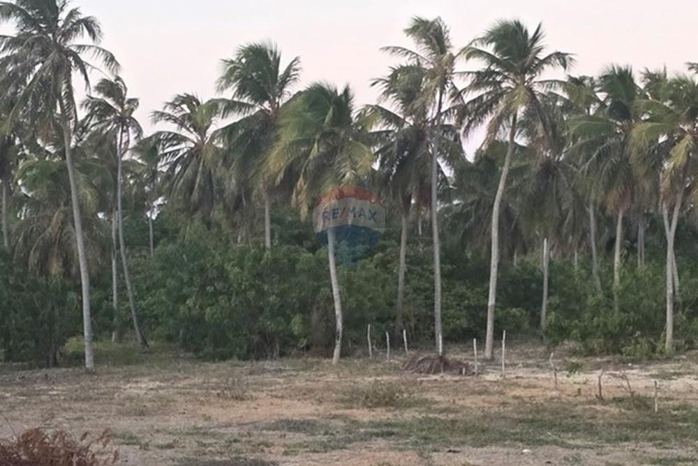 Terreno - Venda - Trairi , Ceará - 1000193876.jpg - 722341001-102