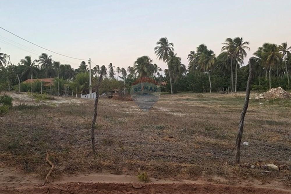 Terreno - Venda - Trairi , Ceará - 1000193881.jpg - 722341001-102
