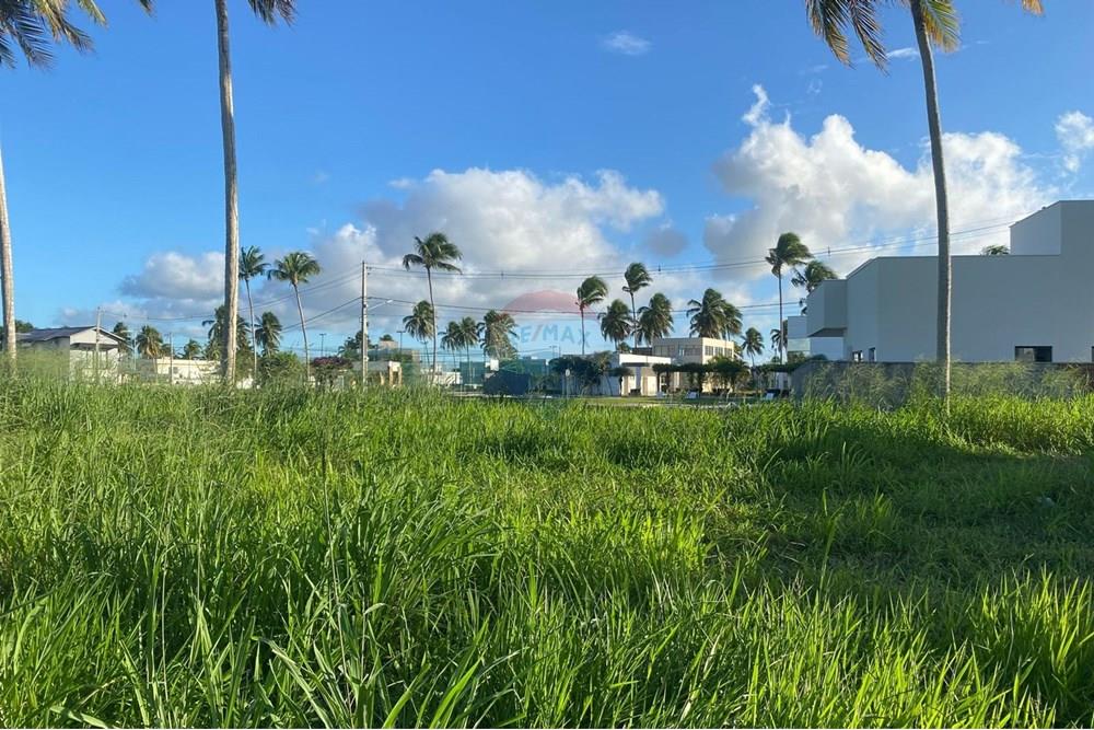 Terreno - Venda - Parnamirim , Rio Grande do Norte - 02698b1a-cb3e-40b0-8339-70a056138ddc.jpg - 720891155-325