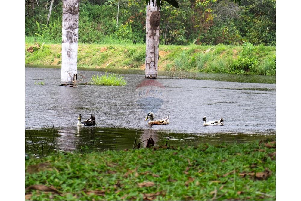 Woningbouw - Boerderij - Novo Airão , Amazonas - BR - IMG_7382.jpg - 720721055-29