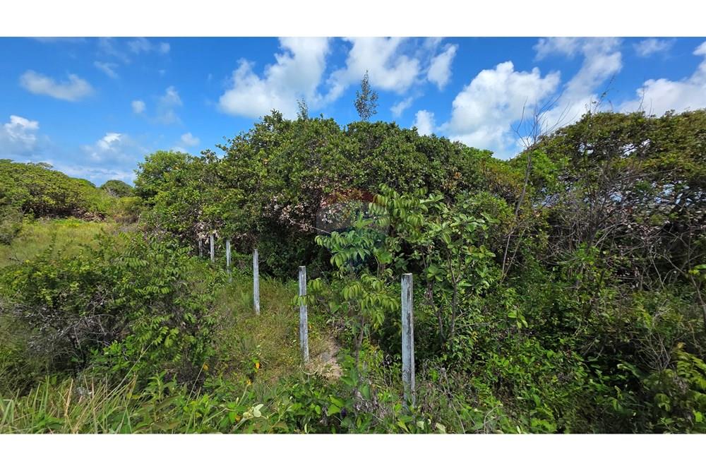 Terreno - Venda - Conde , Paraíba - 20251011_125516.jpg - 720871015-128