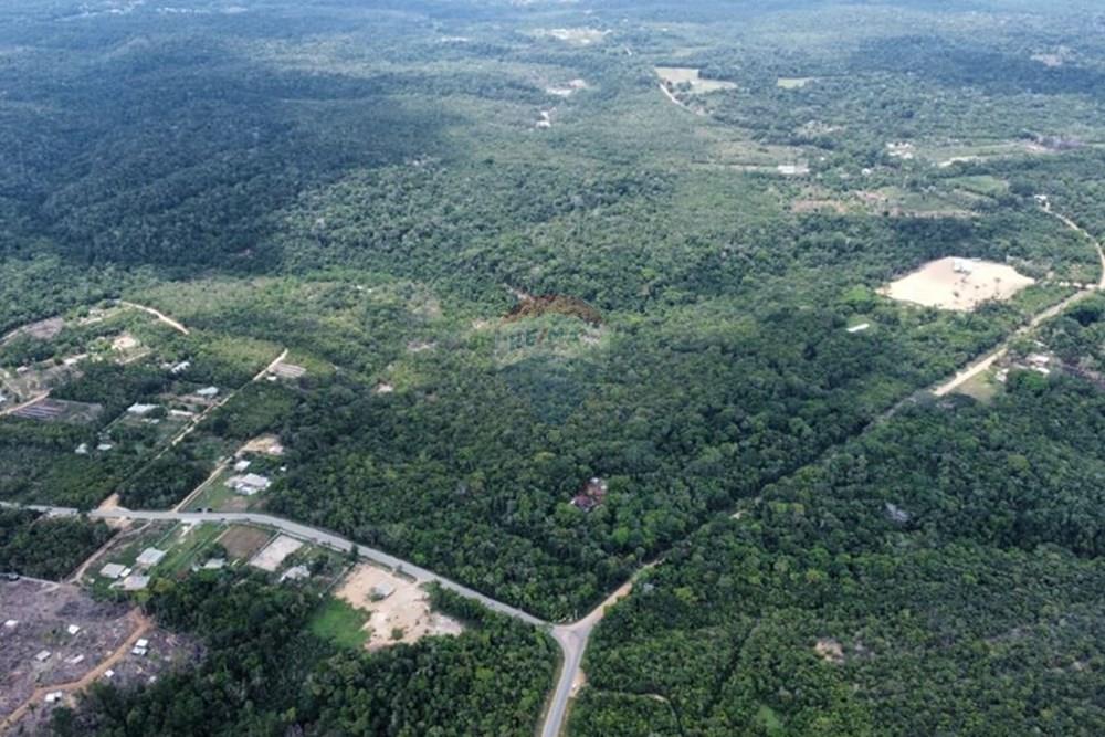 Terreno - Venda - Manaus , Amazonas - IMG-20251021-WA0184.jpg - 720721007-235