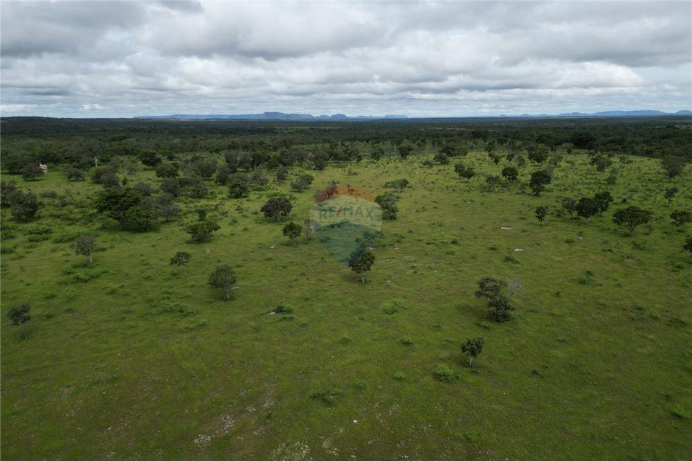 Fazenda - Venda - Carolina , Maranhão - 12 - 720991010-69