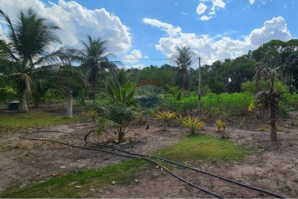 Chácara / Sítio / Fazenda - Venda - Araguaína , Tocantins - WhatsApp Image 2025-08-07 at 15.18.59.jpeg - 722171030-16