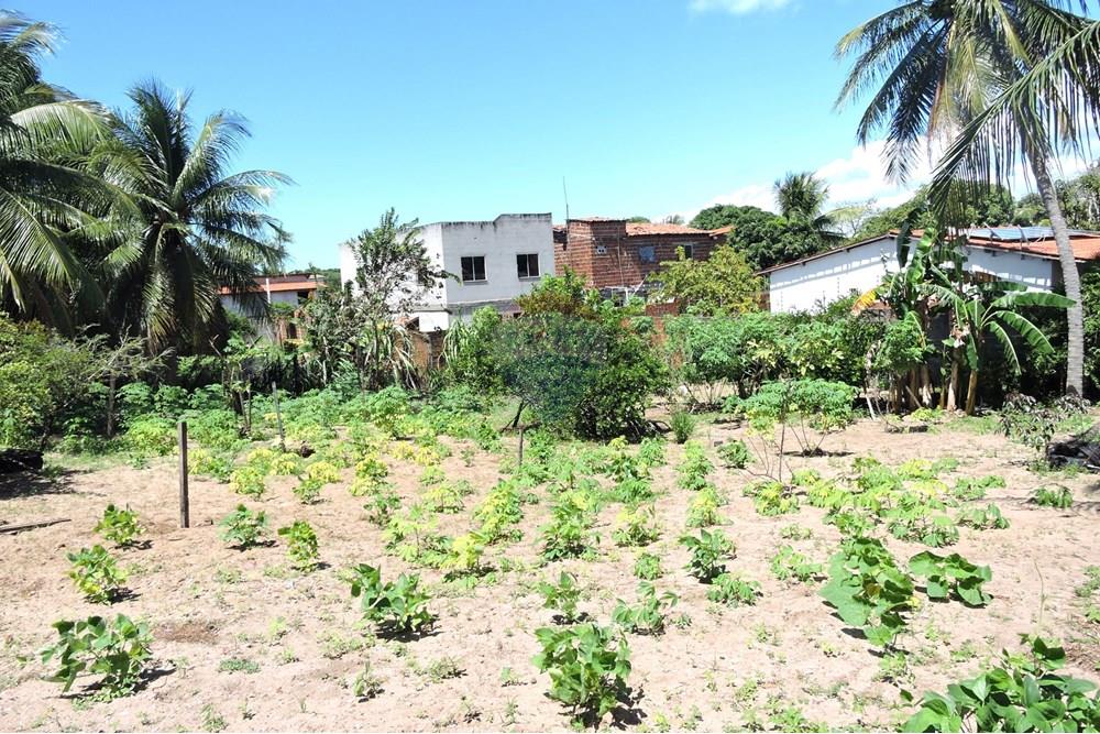 Terreno - Venda - Parnamirim , Rio Grande do Norte - DSCN4930.JPG - 720891130-357
