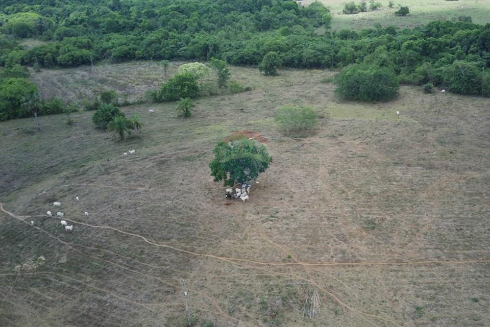 Chácara / Sítio / Fazenda - Venda - Dom Aquino , Mato Grosso - IMG_7854.JPG - 720611016-36